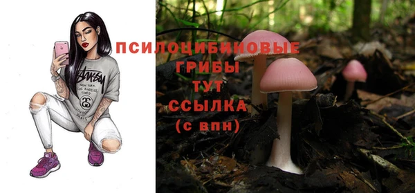 кокаин Каменногорск