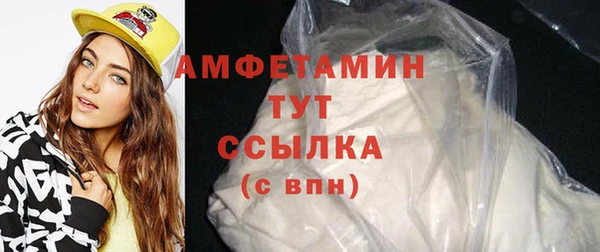 мдпв Инсар