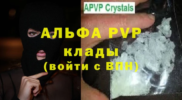 мдпв Инсар