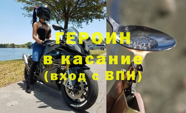 ГАЛЛЮЦИНОГЕННЫЕ ГРИБЫ Инта