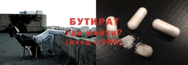 ГАЛЛЮЦИНОГЕННЫЕ ГРИБЫ Инта