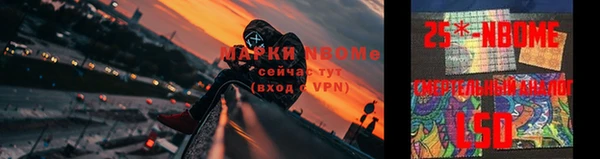 мдпв Инсар