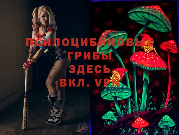 хмурый Каменск-Шахтинский
