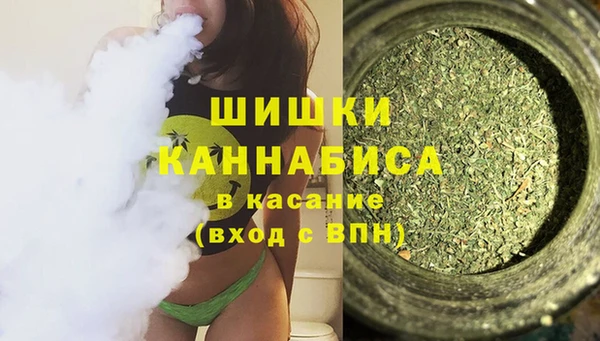 мдпв Инсар