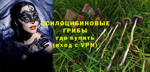 кокаин премиум Каменка