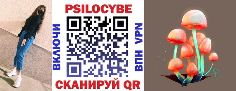 Купить Асбест Псилоцибиновые грибы Cubensis